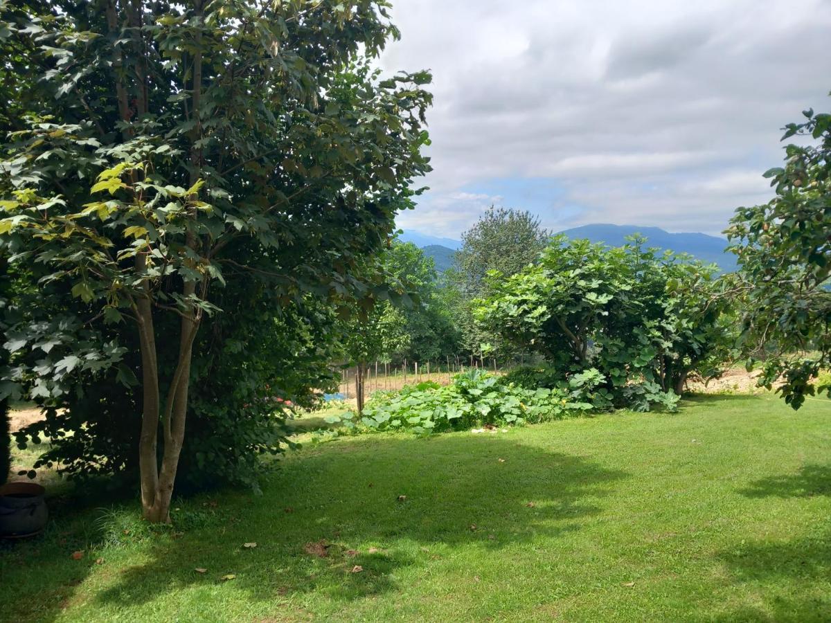 Vila Maisonnette A La Campagne Ariege Saint-Girons  Exteriér fotografie